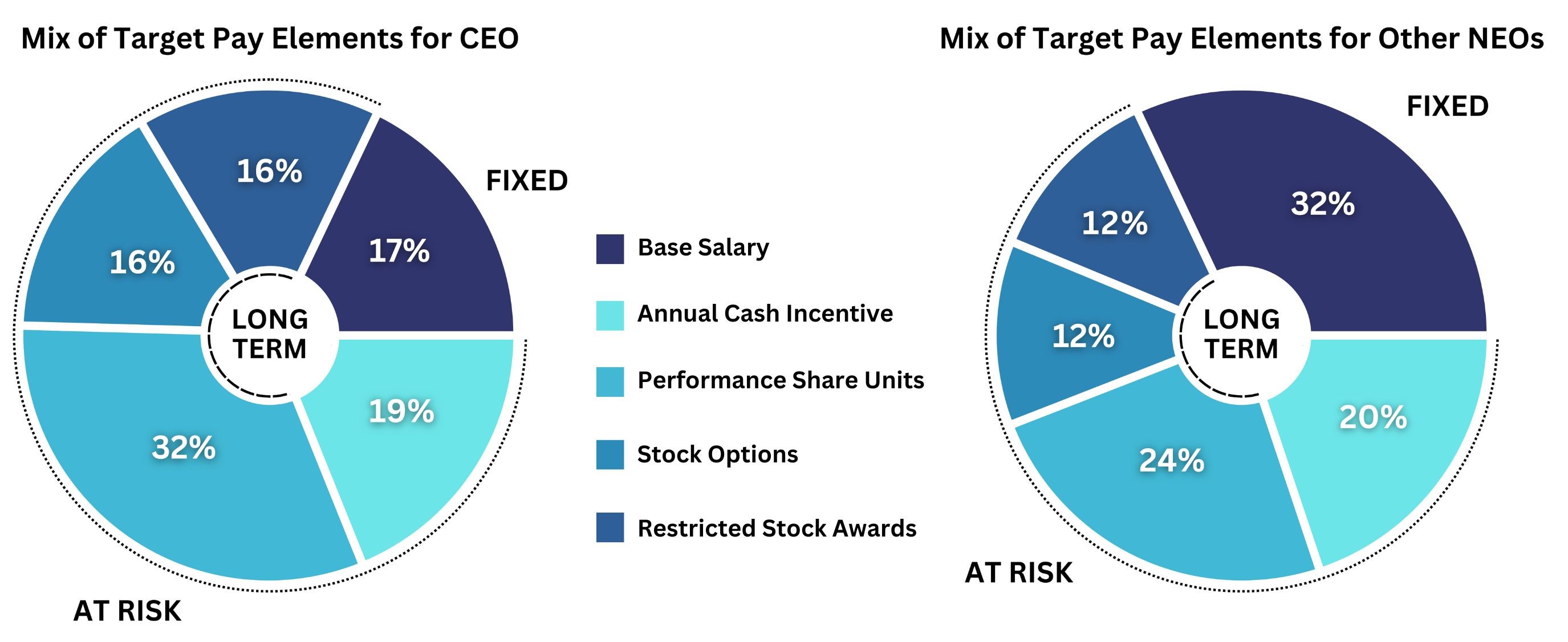 CEO NEO Comp Structure.jpg